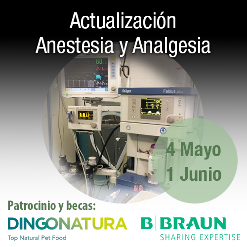 Actualización en Anestesia y Analgesia de pequeños animales