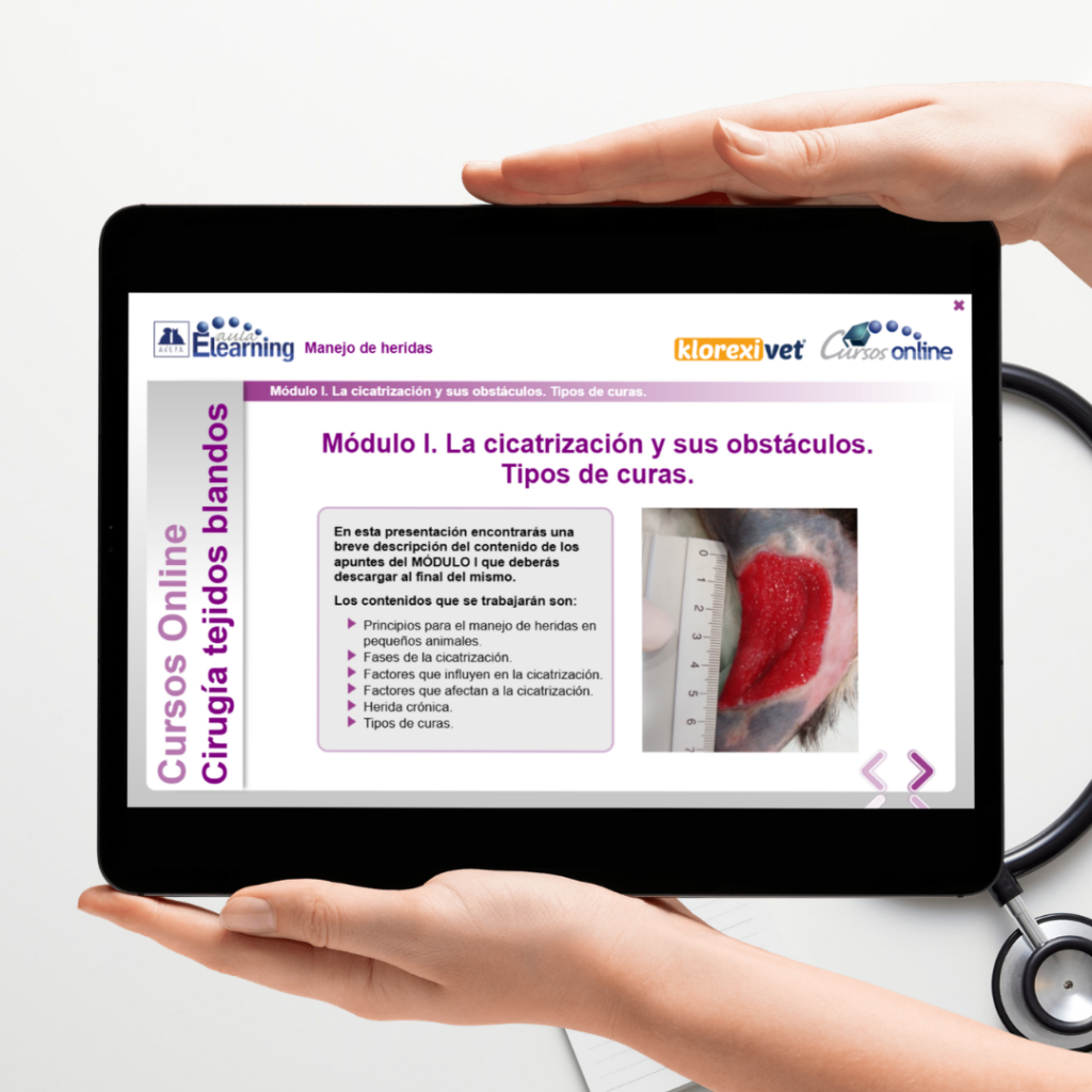 Cursos Autoaprendizaje