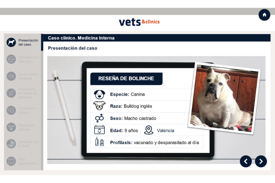 pr_caso_vetsandclinics