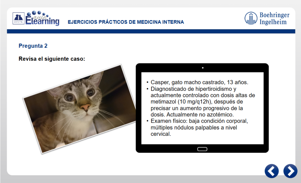 geriatria_ejercicios