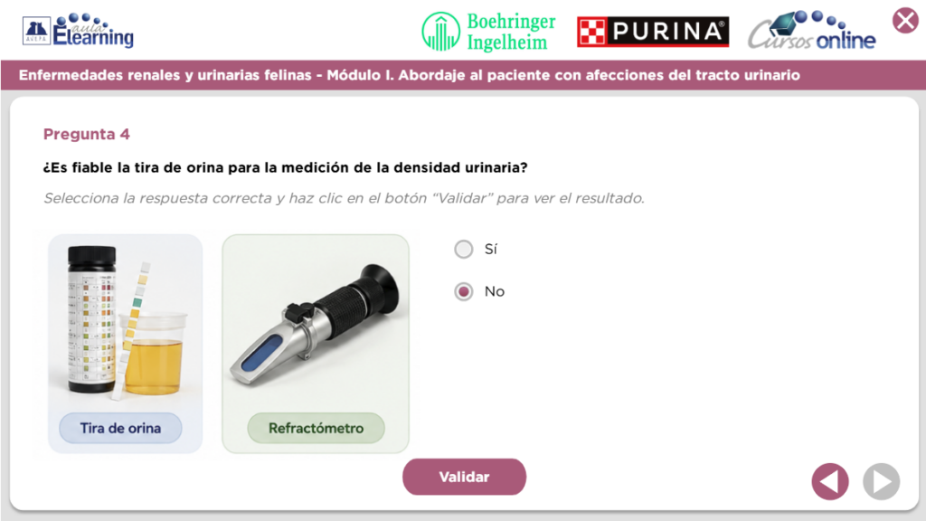 curso_renales