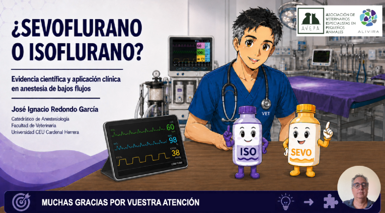 portada_webinar